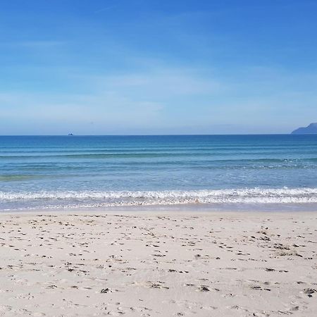 Ideal Property Mallorca - Playasol Port de Alcudia  Exteriör bild