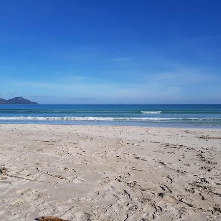 Ideal Property Mallorca - Playasol Port de Alcudia  Exteriör bild