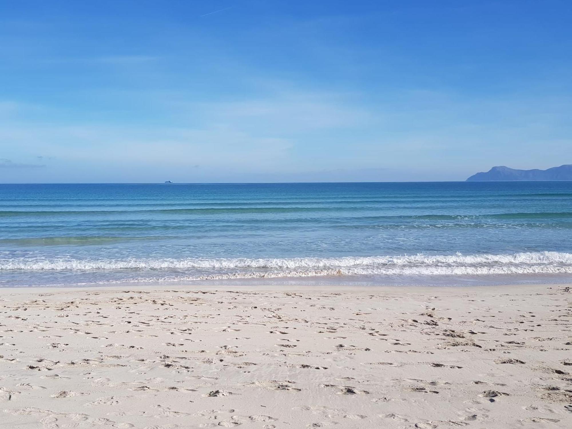 Ideal Property Mallorca - Playasol Port de Alcudia  Exteriör bild
