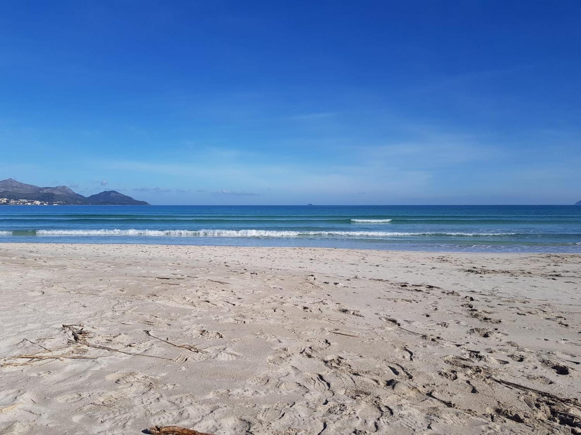 Ideal Property Mallorca - Playasol Port de Alcudia  Exteriör bild